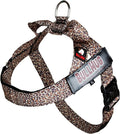 BULLHUG Adjustable Dog Harness– No Pull, No Choke – for English Bulldogs, French Bulldogs, Pugs & Broad-Chested Breeds – Easy, Safe Walks (Leopard, Small)