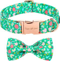 Unique style paws St. Patrick's Day Dog Collar with Bow Tie Rainbow Clover Heart Puppy Collar for Small Medium Large Boys Girls-XL