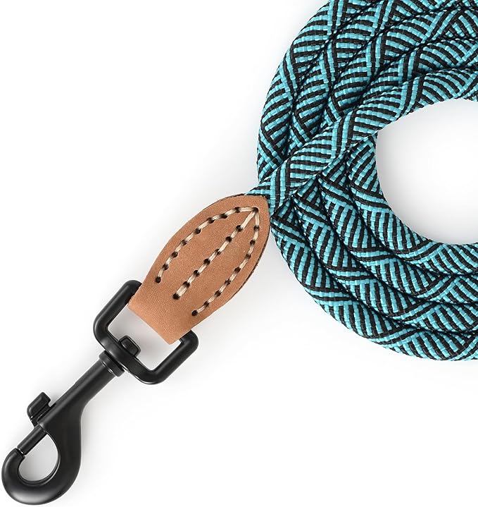 Mile High Life Small Dog Leash, Thin Rope Leash with Genuine Leather Connection and Heavy Duty Metal Clasp, Great for Small Medium Dogs(Turquoise Green, 48 Inch-1/3)