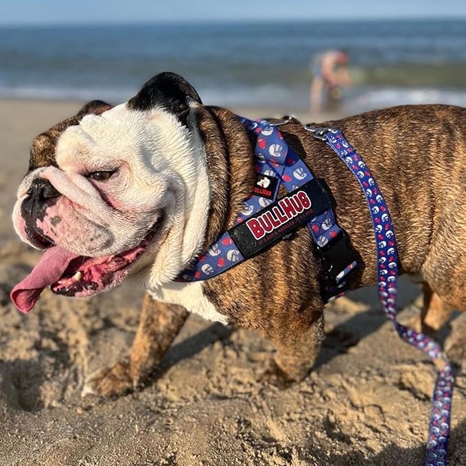 BULLHUG Adjustable Dog Harness– No Pull, No Choke – for English Bulldogs, French Bulldogs, Pugs & Broad-Chested Breeds – Easy, Safe Walks (Mug, Medium)