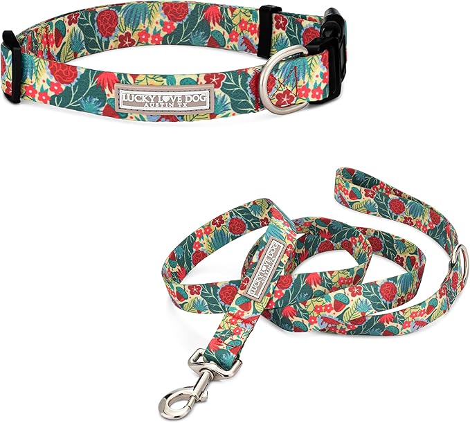 Lucky Love Dog - Easy Click Buckle Dog Collar with Leash Set Combo, Durable & Comfortable for Male & Female Dogs, Pet Collar for Small Dogs, Secure Fit - Ginny Combo, XS