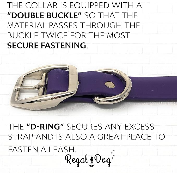 Regal Dog Products Small Purple Waterproof Dog Collars with Custom Engraved Name Plate | Vinyl Coated, Anti, Easy to Clean Personalized Biothane Dog Collar - Other Sizes for Medium & Large Dogs