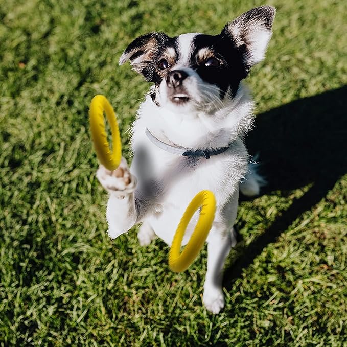 Dog Flying Disc,Floating Dog Ring Toys, Indestructible Dog Chew Toys for Small Chewers Dog Toys for Pool,Float Durable Outdoor &Indoor Puppy Toy for Throwing,Catching,Swimming,Training