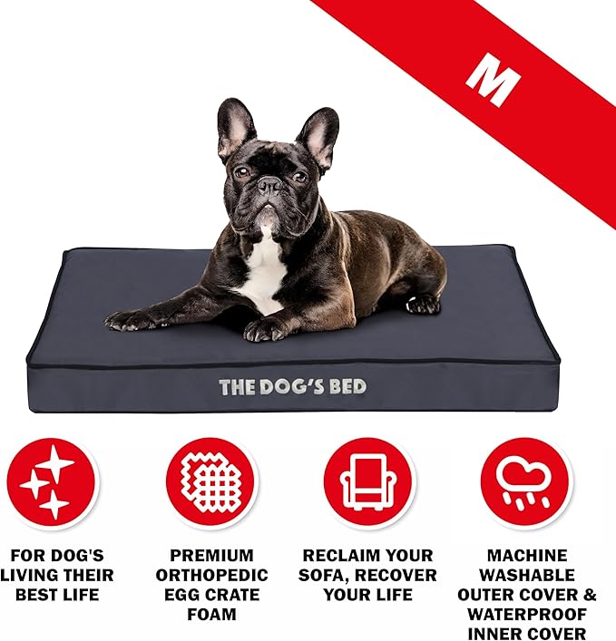 The Dog’s Bed Orthopedic Standard Foam Dog Bed Mattress, Oxford Fabric, Grey with Black Trim, Medium