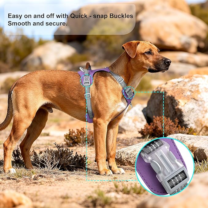 No Pull Dog Harness – Adjustable Reflective Nylon Vest for Small Medium Large Dogs, Escape Proof Training Harness with Leather Control Handle, Lightweight Aluminum Hardware (Purple, M)