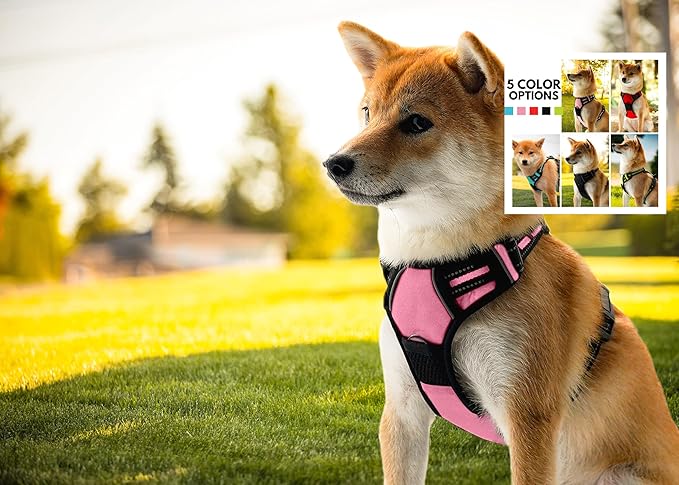 Ziggy Pet Dog Harness Adjustable Nylon Mesh Vest with Leash Clips (Pink, Large)