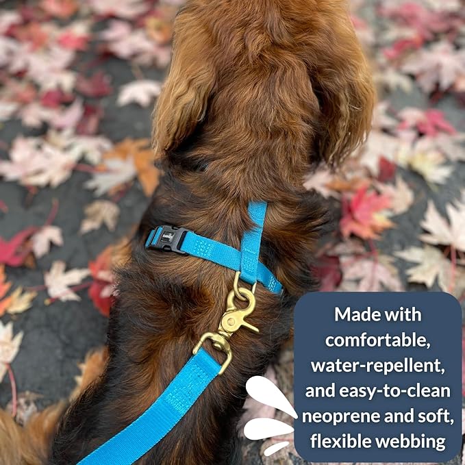 DJANGO Adventure Dog Harness - Stylish & Durable Small Dog Harness for Outdoor Adventures and Everyday Wear - Pacific Blue Neoprene Adjustable Harness for Dogs with Reflective Piping, Brass D-Ring