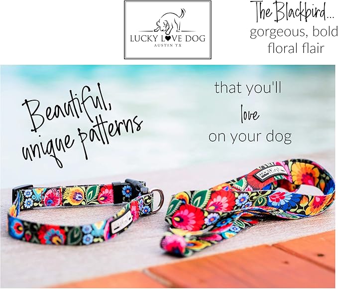 Lucky Love Dog Wide Dog Collar - Adjustable, Durable, Soft Webbing, & Comfortable 1.5 inch Wide Collar for Dogs Male and Female with Strong Buckle - Blackbird, X-Large