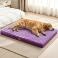 Patas Lague Orthopedic Dog Bed Large Sized Dog 36''X24'', Waterproof Soft Comfortable Egg Crate Foam Large Pet Beds Crate Mat with Removable Washable Cover and Nonskid Bottom, Pueple