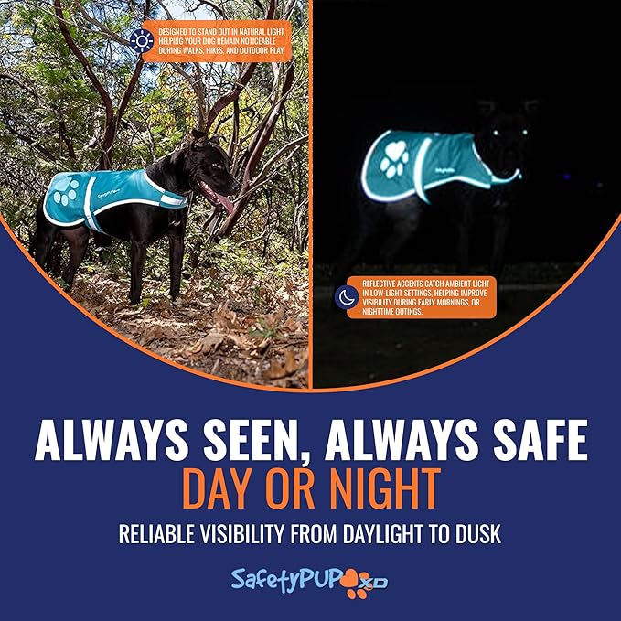SafetyPUP XD Dog Reflective Vest – Hi-Vis Fluorescent Visibility That Helps to Safeguard Your Pet On/Off Leash in Urban & Rural Areas (Teal, Large)