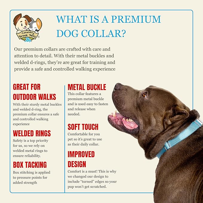 Country Brook Petz - Premium Nylon Dog Collar with Metal Buckle for Small Medium Large Breeds - 10+ Cool Colors (Small, 3/4 Inch, Ocean Blue)
