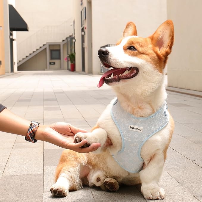 No Pull Dog Vest Harness for Small&Medium Dogs, Side Clip Adjustable Pet Vest, Soft Breathable, Fashion Dog Harnesses for Walking, Running, Shopping (Light Blue,M)