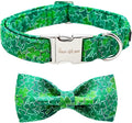Unique style paws St. Patrick's Day Dog Collar with Bow Green Clover Puppy Collar for Small Medium Large Boys Girls Dogs-S