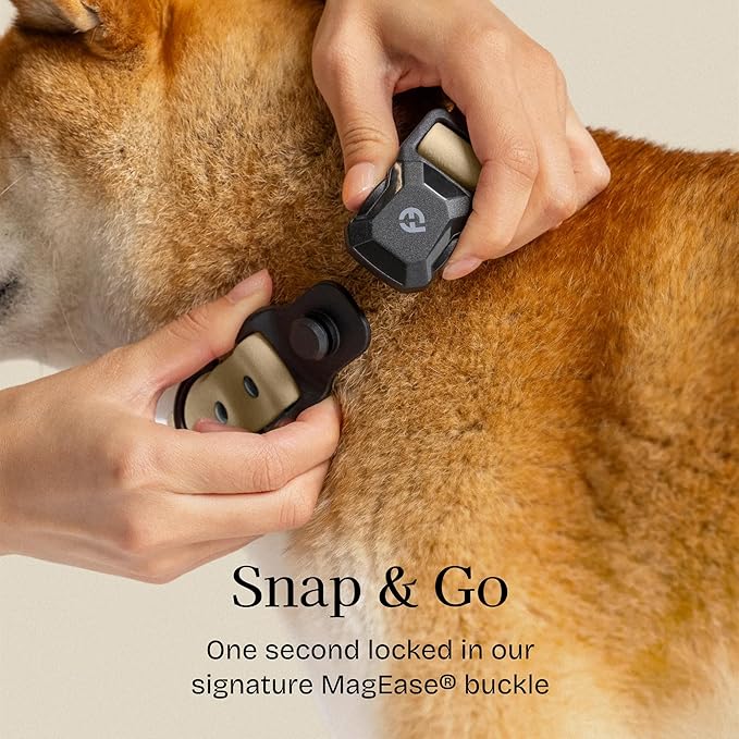2026 New Edition, Fei & Eve PVC MagEase Dog Collar - Patented Magnetic Buckles | Fur-Safe | 450LB Escape-Proof | Adjustable Fit | Medium (Champagne)