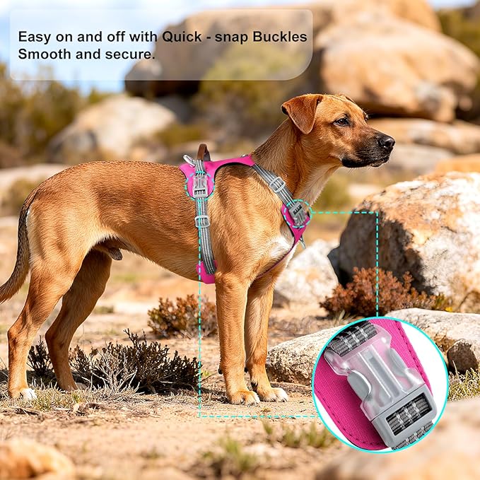 No Pull Dog Harness – Adjustable Reflective Nylon Vest for Small Medium Large Dogs, Escape Proof Training Harness with Leather Control Handle, Lightweight Aluminum Hardware (Hot Pink, L)