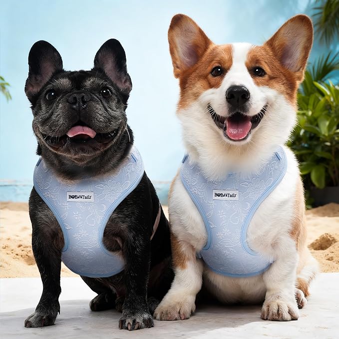 No Pull Dog Vest Harness for Small&Medium Dogs, Side Clip Adjustable Pet Vest, Soft Breathable, Fashion Dog Harnesses for Walking, Running, Shopping (Light Blue, XS)
