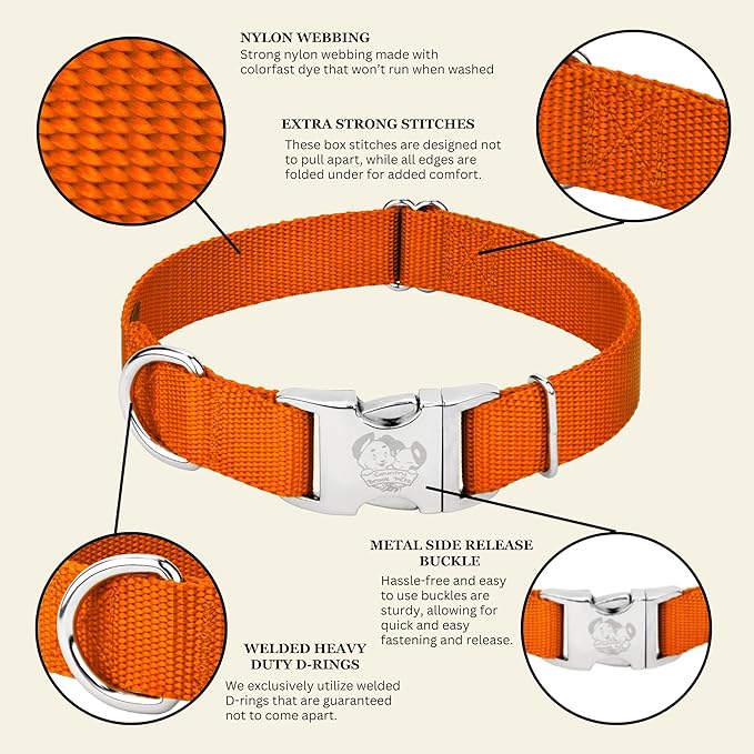 Country Brook Petz - Premium Nylon Dog Collar with Metal Buckle for Small Medium Large Breeds - 10+ Warm Colors (Large, 1 Inch, Orange)