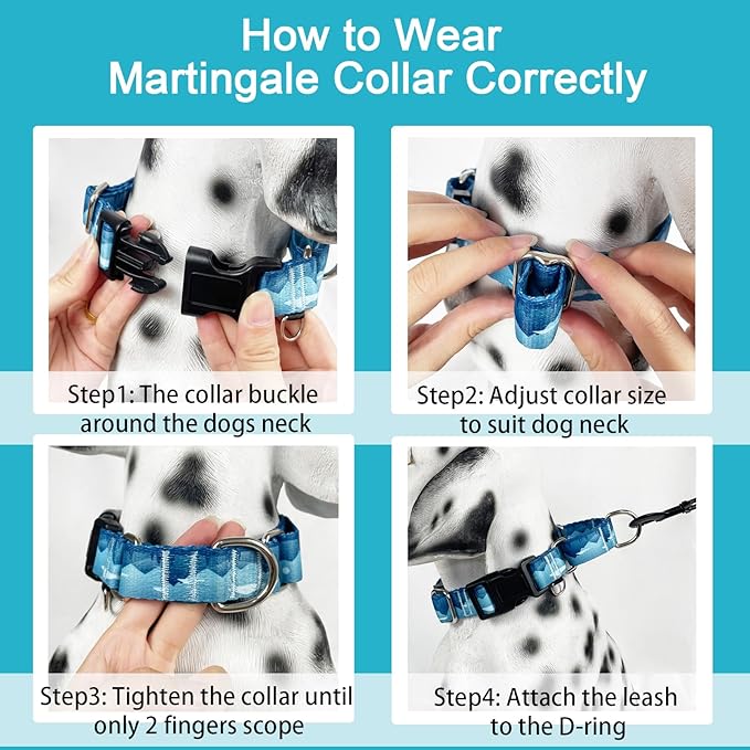 Martingale Collar for Dogs with Buckle Dog Collar Adjustable Soft Nylon Boy Dog Collars for Extra Large Dogs, Blue Sunset