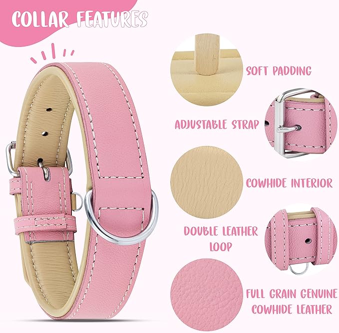 Riparo Adjustable Leather Dog Collar - Heavy Duty Wide Dog Collar for Small, Medium, Large and Extra Large Dogs with Dog Tag Holder (XXL: 2” Wide for 26”-29” Neck, Pink)
