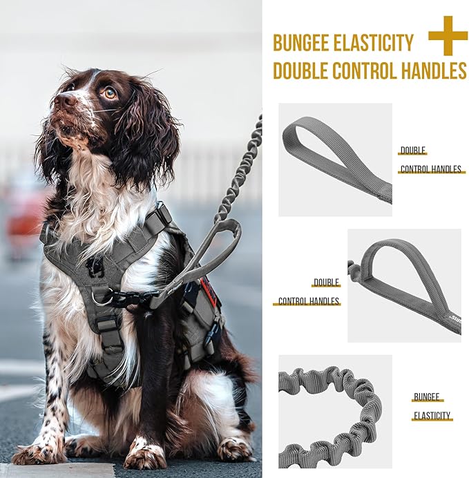 OneTigris Tactical Dog Training Leash Bungee Leash with 2 Control Handle Quick Release Nylon Leads Rope(Grey)