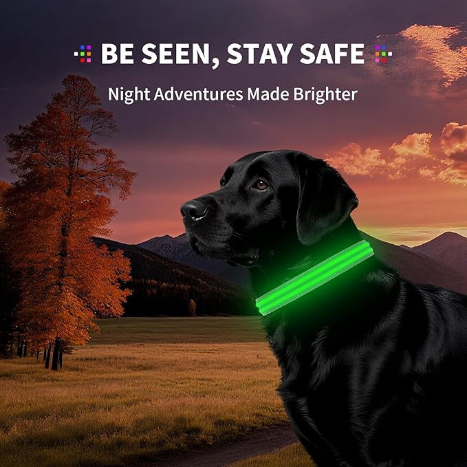 PetIsay Dog Light up Collar for Night Walking - High Visibility LED Dog Collar - Rechargeable - Waterproof - Reflective - Adjustable Lighted Glow Collars(Green, Medium)