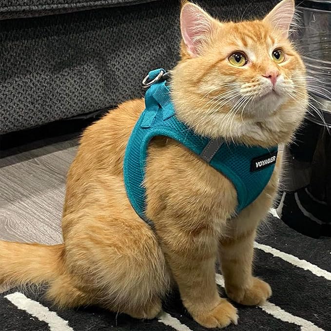 Voyager Step-in Pet Harness - All Weather Mesh, Adjustable Step in Harness for Cats and Dogs by Best Pet Supplies - 307S Turquoise, M