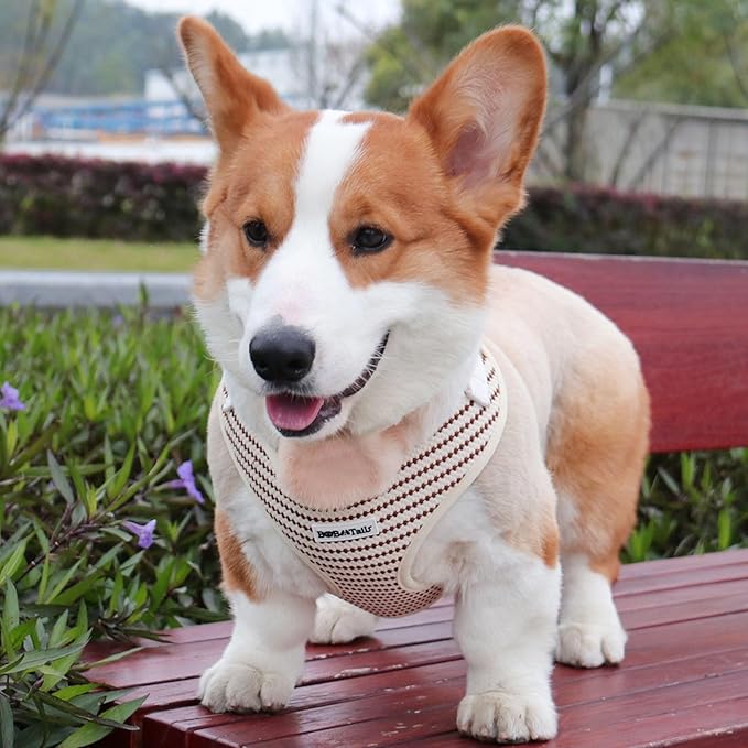 No Pull Dog Vest Harness for Small&Medium Dogs, Side Clip Adjustable Pet Vest, Soft Breathable, Fashion Dog Harnesses for Walking, Running, Shopping (Beige, XS)