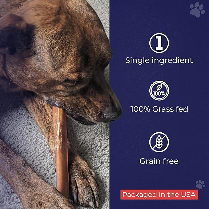 Devil Dog Pet Co. Jumbo Bully Sticks – 6 Inch, 6 Pack Dog Chews, 100% Natural Free-Range Grass-Fed Beef – Long Lasting, Rawhide-Free Treats for Dogs