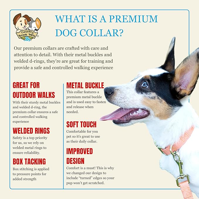 Country Brook Petz - Premium Nylon Dog Collar with Metal Buckle for Small Medium Large Breeds - 10+ Warm Colors (Medium, 3/4 Inch, Coral)
