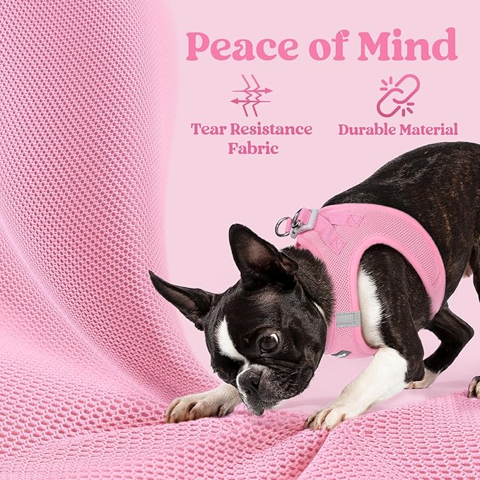 rabbitgoo Small Dog Harness, Step-in Soft Mesh Puppy Vest with Safety Buckle, Breathable Reflective Pet Harness for Small Medium Dogs, Light Pink L