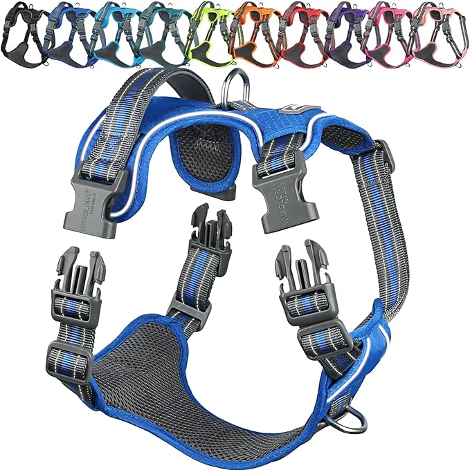 VIVAGLORY Dog Harness Easewalk No Pull Dog Harness with Handle Front Clip & Back Clip for Training Walking Lifting, No Pull Adjustable Easy On Padded Comfortable for Pet, S, Royal Blue - Patterned