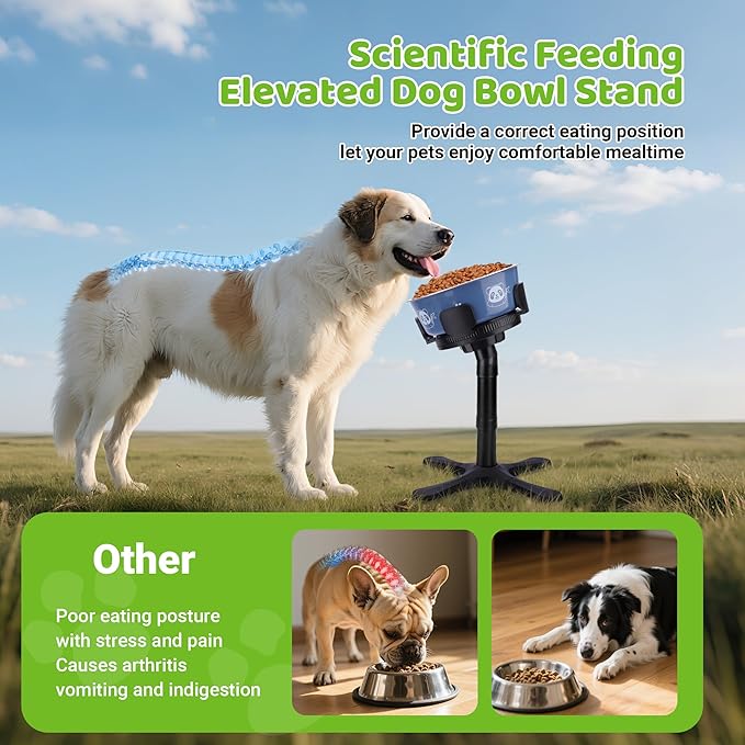 Dog Bowls,Elevated Adjustable Dog Bowl Stand with 3 Heights & Tilted Feeding Design, Raised Stand Compatible with Medium & Large Breeds(with Stainless Steel Bowls-Black)