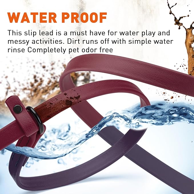 Dogline Biothane Slip Dog Leash - for Small, Medium and Large Dogs - Odor Free Slip Lead, Heavy Duty and Durable Material Kennel Lead - Merlot Burgundy - 5ft L x 3/8in W