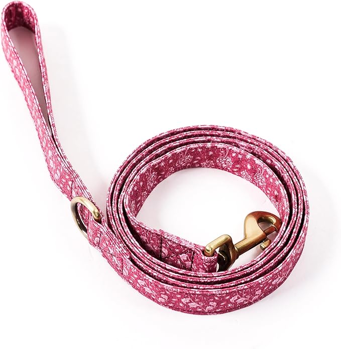 Organic Cotton Dog Leash for Small,Medium and Large Breed,Brass Hardware Pet Leash for Walking,Running and Training 6FT