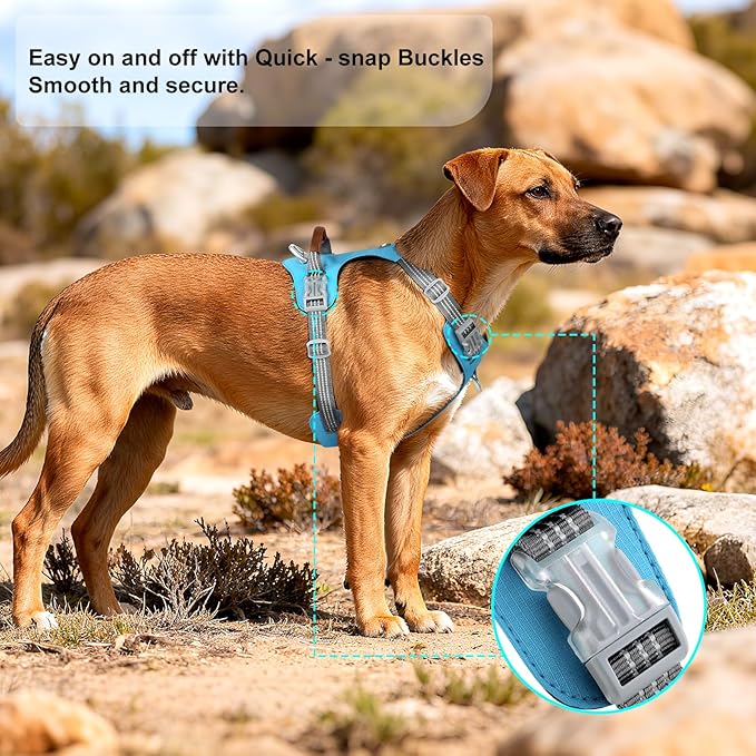 No Pull Dog Harness – Adjustable Reflective Nylon Vest for Small Medium Large Dogs, Escape Proof Training Harness with Leather Control Handle, Lightweight Aluminum Hardware (Cyan, XL)