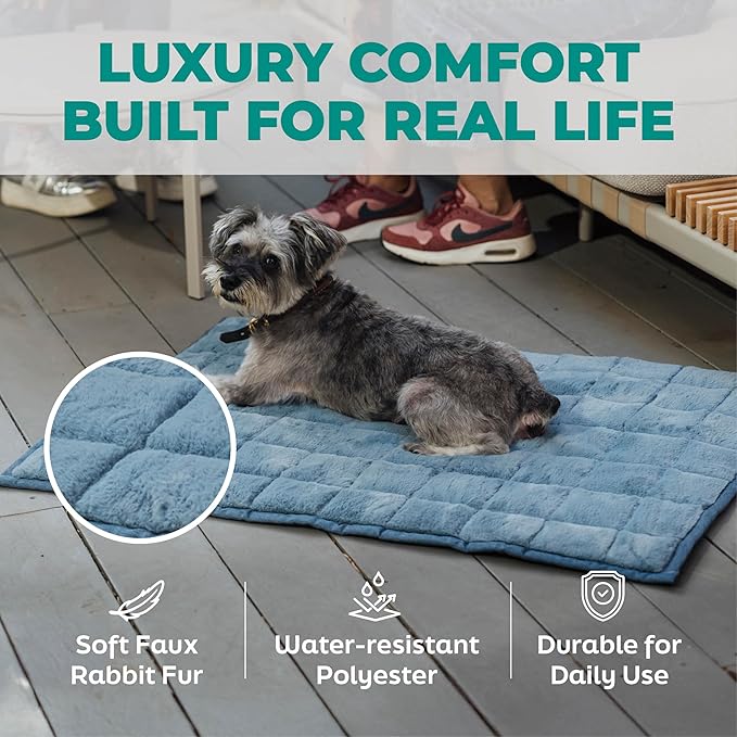 KindTail Nomad Nap Mat - Travel Dog Bed - Machine Washable, Water-Resistant Dog Mat for Pets up to 50 lbs - Lightweight, Portable Pet Bed with Carry Handle - Folds to 14 x 9 x 5 (1.5 lbs, Light Grey)