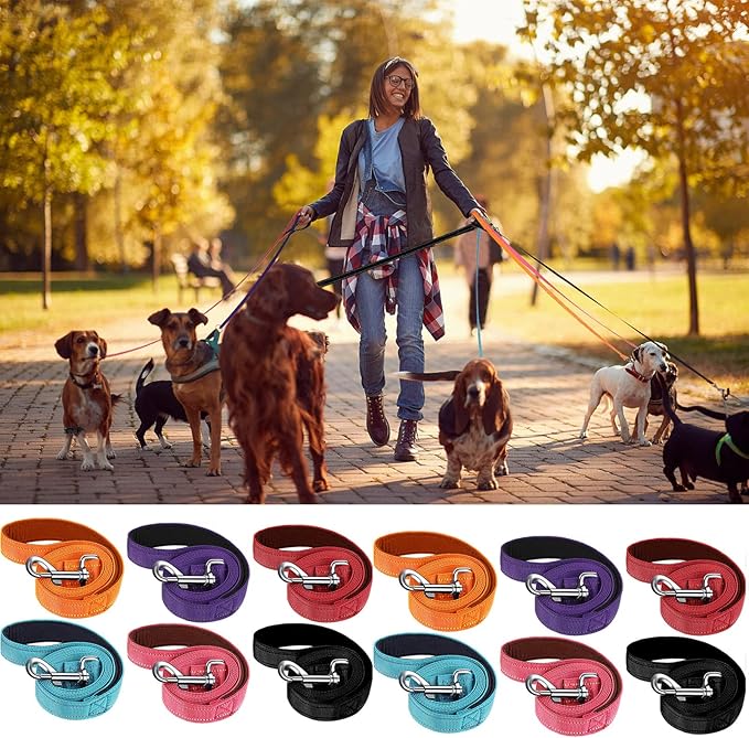 Vicenpal 12 Pcs Double Sided Reflective Dog Leash with Soft Padded Handle, Bulk Nylon Animal Leashes for Medium and Large Dogs Heavy Duty Animal Leash for Walking, Training, 6 Colors(6 ft,Cute Colors)