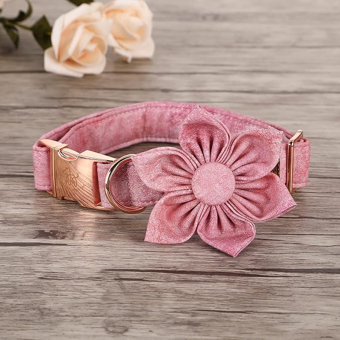Elegant little tail Pink Girl Dog Collar for Female Dogs, Pet Collar Adjustable Dog Collars with Flower Gift for X-Small Dogs and Cats