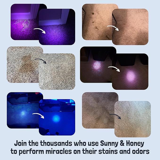 Sunny & Honey Pet Stain & Odor Miracle - For New and Old Stains - Enzyme Cleaner & Surface Odor Eliminator - Fast Acting Carpet Cleaner Spray - Enzymatic Cleaner for Dog Urine (128 fl oz, Fall Spice)