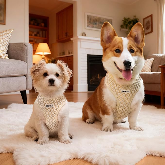 No Pull Dog Vest Harness for Small&Medium Dogs, Side Clip Adjustable Pet Vest, Soft Breathable, Fashion Dog Harnesses for Walking, Running, Shopping (Gold, XS)