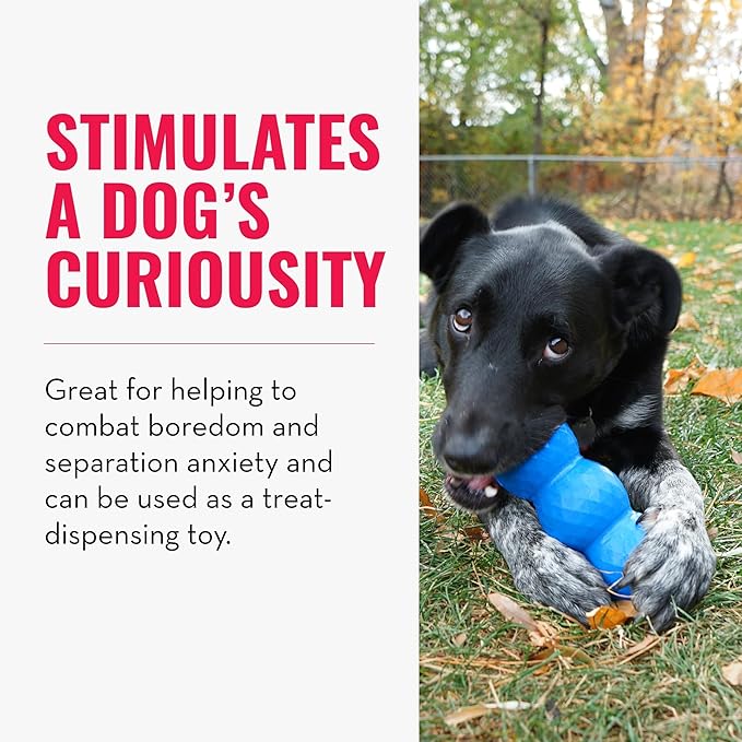 KONG - Genius Mike - Interactive Treat Dispensing Dog Puzzle Toy (Assorted Colors) (Large)