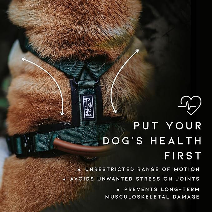 MADE TO ROAM Premium Explorer Harness - Y-Shaped Dog Harness with Adjustable Durable Nylon, Soft Padding, Metal Buckles and Leather Handle for Small, Medium, Large Dogs (Michigan Autumn, Size 2)