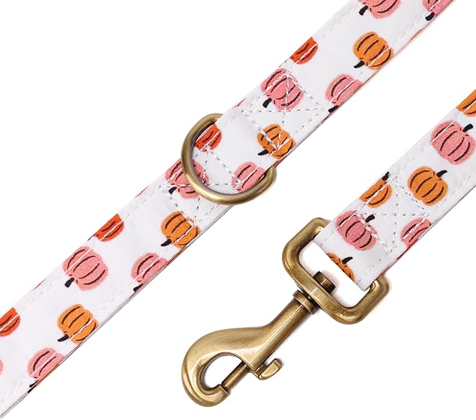 Organic Cotton Dog Leash for Small,Medium and Large Breed,Brass Hardware Pet Leash for Walking,Running and Training 6FT