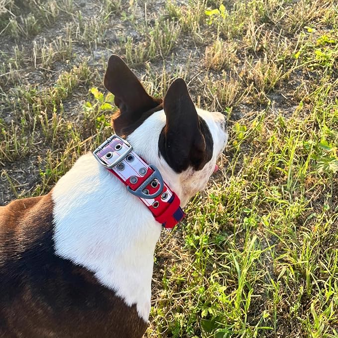 ADITYNA Heavy Duty Dog Collar for Medium Dogs - Camo Red Blue Collar with Handle for Training, and Walking - Wide, Thick, Tactical, Soft Neoprene Padded