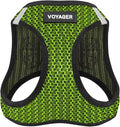 Best Pet Supplies Voyager Step-in Air Harness - All Weather Mesh, Reflective, No Pull Harness for Dogs, Cats - Secure with Hook & Loop Fastener, Buckle, Double D-Rings - Lime Green 2-Tone, M