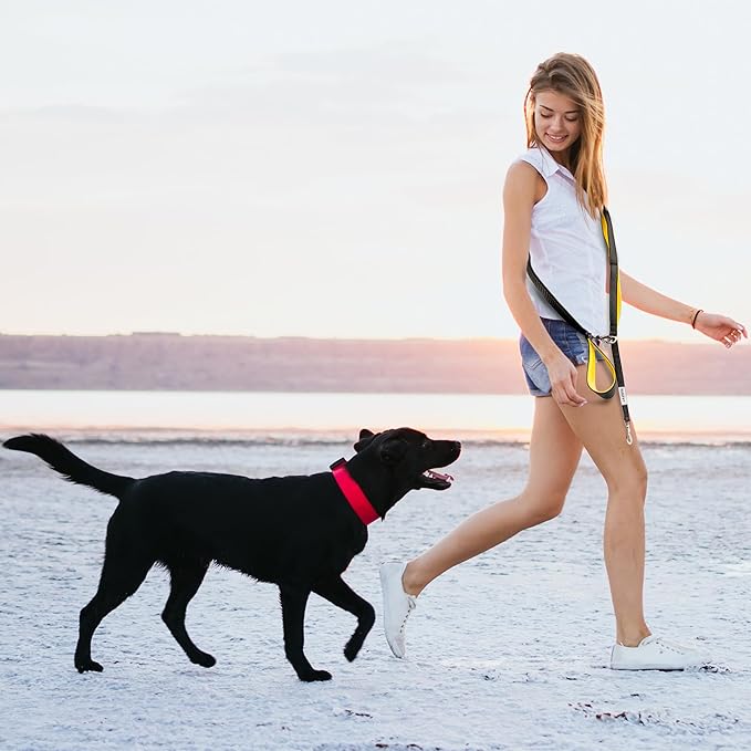 No Pull Dog Leash for Large Dogs – 6ft Highly Reflective Bungee, Heavy Duty Leash for Large Dogs, 4 Padded Handles, Strong Carabiner Clip & Rings, Includes Poop Bag Holder & Treat Pouch (Hot Pink)