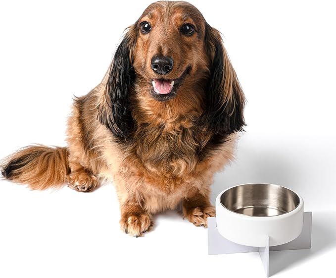 DBL3000B Intersecta Small/Medium Concrete and Stainless Steel Bowl 16oz (2 Cups) with Metal Stand Pet Feeder, White