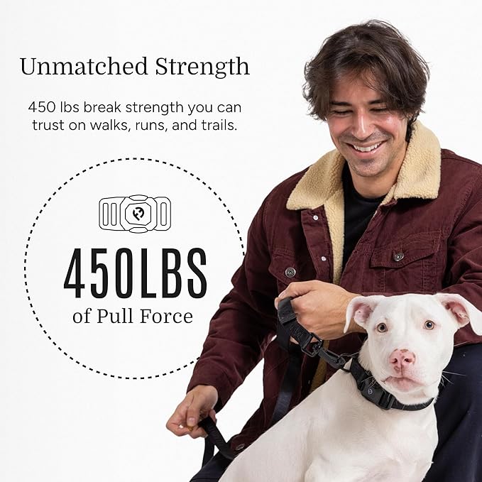 2026 New Edition, Fei & Eve MagEase Dog Collar - Patented Magnetic Buckles | Fur-Safe | Premium 210D Nylon | 450LB Escape-Proof | Adjustable Fit | Medium (Black)