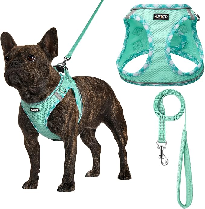 AMTOR Small Dog Harness with Leash Set, No Escape Easy Walk Puppy Harnesses for Training Walking, Step-in Reflective Soft Dogs Vest for XS S Medium Extra-Small Large Sized Dog(Green,L)