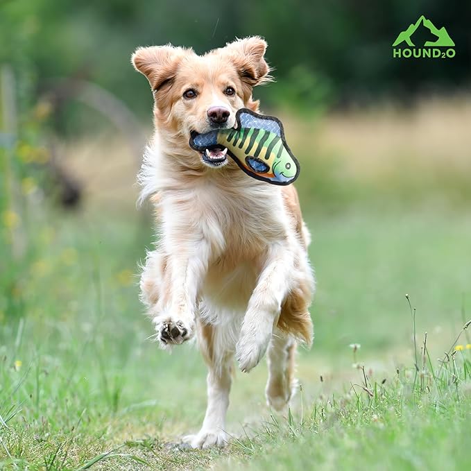Plush Dog Toys | Bluegill Fish Stuffed Animal Squeaky Toy for Dogs | Outdoor Pet Toy Built for Adventure